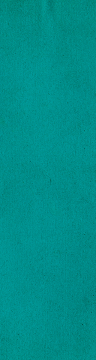 Remarketing - LP Visitors ( No Conversions)_160x600